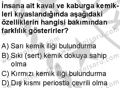 Seçmeli Biyoloji 1 Dersi 2024-2025 yılı 3. Dönem sınavı 6. Soru