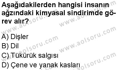 Seçmeli Biyoloji 1 Dersi 2024-2025 yılı 3. Dönem sınavı 7. Soru