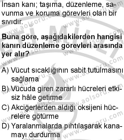 Seçmeli Biyoloji 1 Dersi 2024-2025 yılı 3. Dönem sınavı 8. Soru