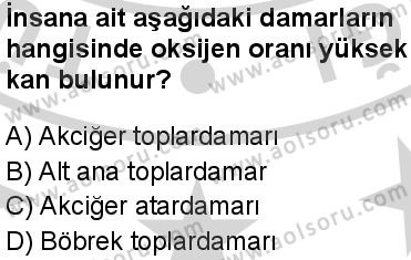 Seçmeli Biyoloji 1 Dersi 2024-2025 yılı 3. Dönem sınavı 9. Soru