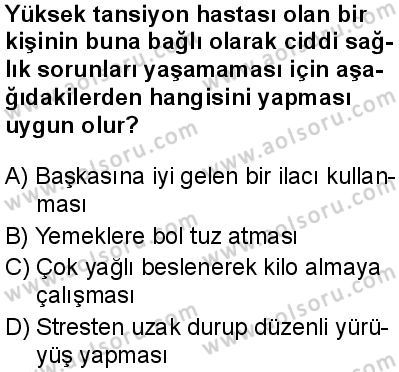 Seçmeli Biyoloji 1 Dersi 2024-2025 yılı 3. Dönem sınavı 10. Soru