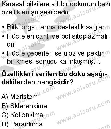Seçmeli Biyoloji 4 Dersi 2024-2025 yılı 3. Dönem sınavı 2. Soru