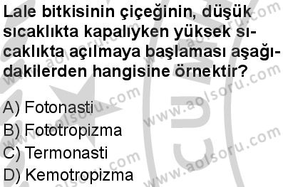 Seçmeli Biyoloji 4 Dersi 2024-2025 yılı 3. Dönem sınavı 4. Soru