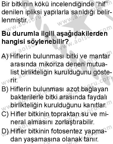 Seçmeli Biyoloji 4 Dersi 2024-2025 yılı 3. Dönem sınavı 5. Soru