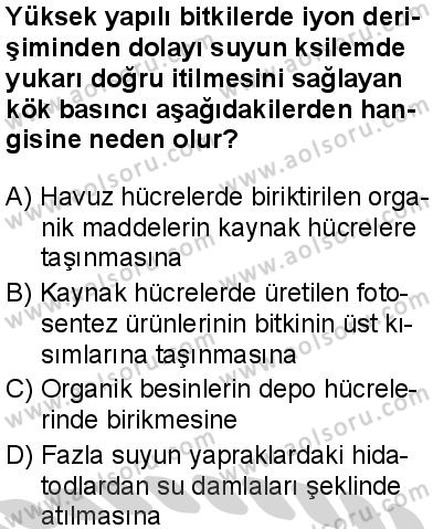 Seçmeli Biyoloji 4 Dersi 2024-2025 yılı 3. Dönem sınavı 6. Soru