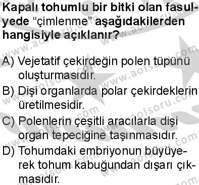 Seçmeli Biyoloji 4 Dersi 2024-2025 yılı 3. Dönem sınavı 8. Soru