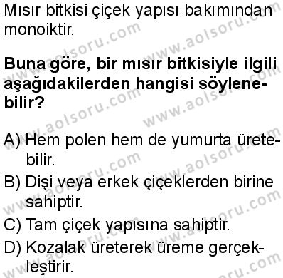 Seçmeli Biyoloji 4 Dersi 2024-2025 yılı 3. Dönem sınavı 9. Soru