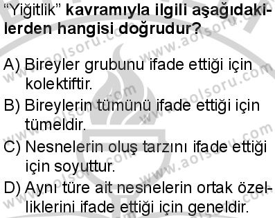 Seçmeli Mantık 1 Dersi 2024-2025 yılı 3. Dönem sınavı 5. Soru