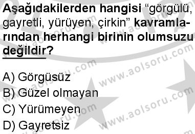 Seçmeli Mantık 1 Dersi 2024-2025 yılı 3. Dönem sınavı 6. Soru