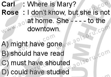 İngilizce 6 Dersi 2024-2025 yılı 3. Dönem sınavı 1. Soru
