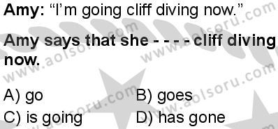 İngilizce 6 Dersi 2024-2025 yılı 3. Dönem sınavı 5. Soru