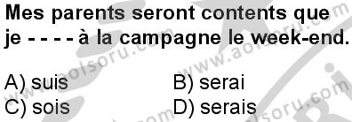 Fransızca 6 Dersi 2024-2025 yılı 3. Dönem sınavı 2. Soru