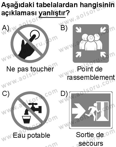 Fransızca 6 Dersi 2024-2025 yılı 3. Dönem sınavı 8. Soru