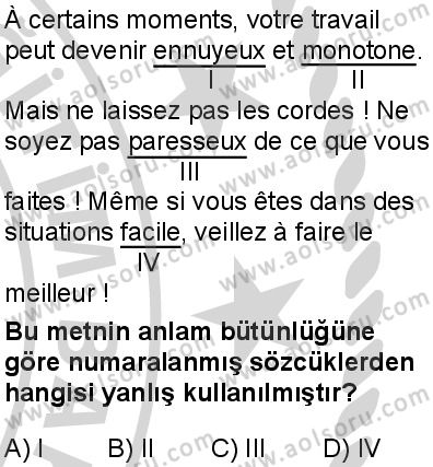 Fransızca 6 Dersi 2024-2025 yılı 3. Dönem sınavı 9. Soru