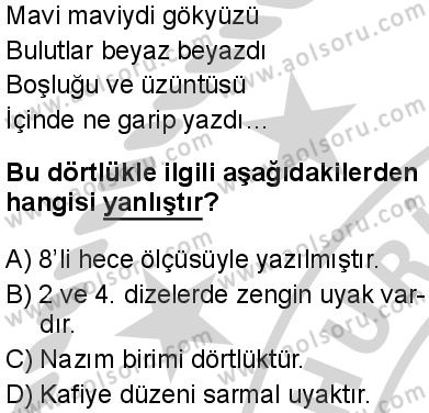 Türk Dili ve Edebiyatı 2 Dersi 2024-2025 yılı 3. Dönem sınavı 1. Soru