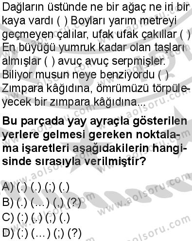 Türk Dili ve Edebiyatı 2 Dersi 2024-2025 yılı 3. Dönem sınavı 4. Soru