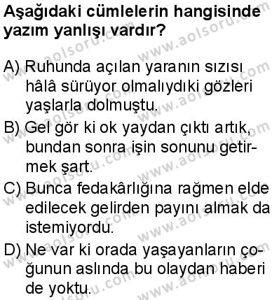 Türk Dili ve Edebiyatı 2 Dersi 2024-2025 yılı 3. Dönem sınavı 5. Soru