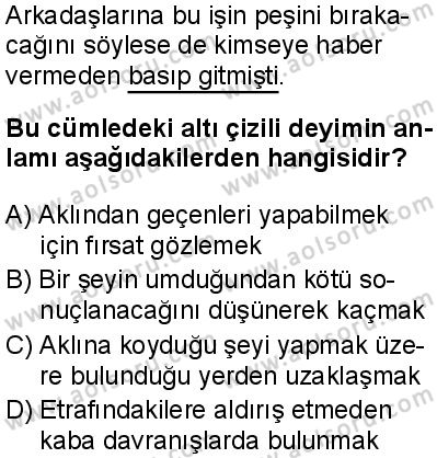 Türk Dili ve Edebiyatı 2 Dersi 2024-2025 yılı 3. Dönem sınavı 8. Soru
