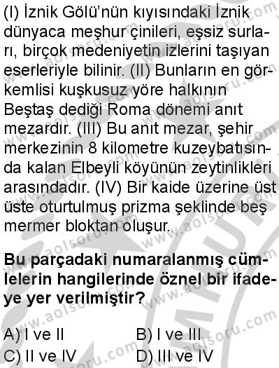 Türk Dili ve Edebiyatı 2 Dersi 2024-2025 yılı 3. Dönem sınavı 9. Soru