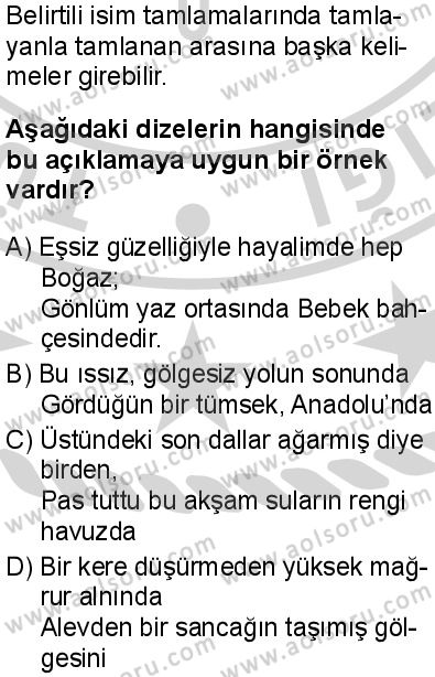 Türk Dili ve Edebiyatı 3 Dersi 2024-2025 yılı 3. Dönem sınavı 3. Soru