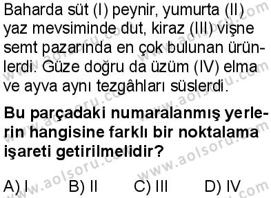 Türk Dili ve Edebiyatı 3 Dersi 2024-2025 yılı 3. Dönem sınavı 4. Soru