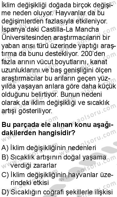 Türk Dili ve Edebiyatı 3 Dersi 2024-2025 yılı 3. Dönem sınavı 7. Soru