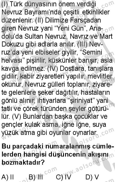 Türk Dili ve Edebiyatı 3 Dersi 2024-2025 yılı 3. Dönem sınavı 8. Soru