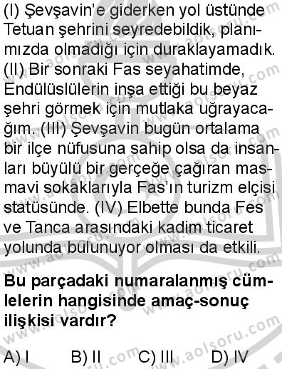 Türk Dili ve Edebiyatı 3 Dersi 2024-2025 yılı 3. Dönem sınavı 10. Soru