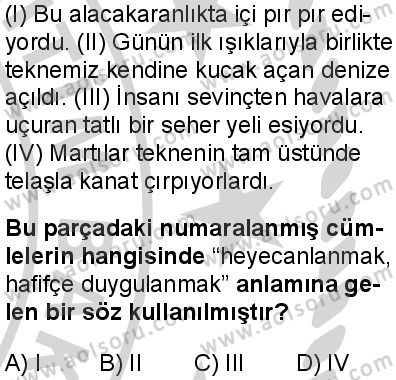 Türk Dili ve Edebiyatı 5 Dersi 2024-2025 yılı 3. Dönem sınavı 2. Soru