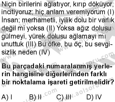 Türk Dili ve Edebiyatı 5 Dersi 2024-2025 yılı 3. Dönem sınavı 7. Soru