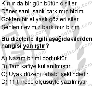 Türk Dili ve Edebiyatı 5 Dersi 2024-2025 yılı 3. Dönem sınavı 9. Soru