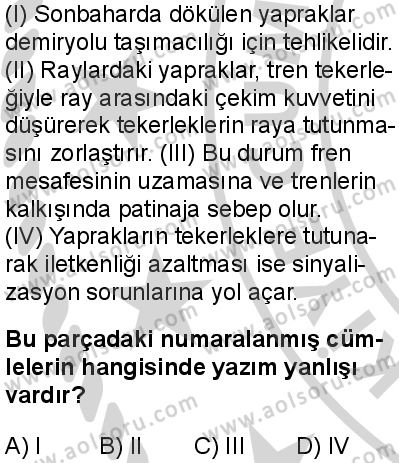 Türk Dili ve Edebiyatı 6 Dersi 2024-2025 yılı 3. Dönem sınavı 2. Soru