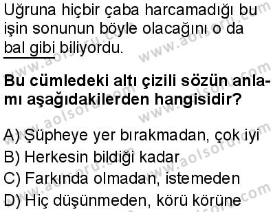 Türk Dili ve Edebiyatı 6 Dersi 2024-2025 yılı 3. Dönem sınavı 9. Soru
