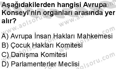 Seçmeli Demokrasi ve İnsan Hakları 2 Dersi 2024-2025 yılı 3. Dönem sınavı 6. Soru