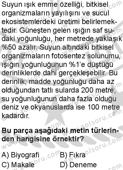 Seçmeli Türk Dili ve Edebiyatı 1 Dersi 2024-2025 yılı 3. Dönem sınavı 4. Soru