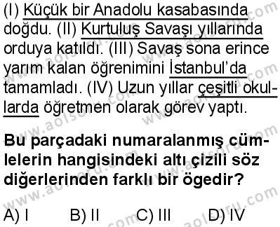 Seçmeli Türk Dili ve Edebiyatı 1 Dersi 2024-2025 yılı 3. Dönem sınavı 5. Soru