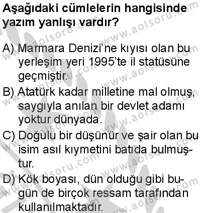 Seçmeli Türk Dili ve Edebiyatı 1 Dersi 2024-2025 yılı 3. Dönem sınavı 6. Soru