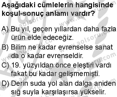 Seçmeli Türk Dili ve Edebiyatı 1 Dersi 2024-2025 yılı 3. Dönem sınavı 7. Soru