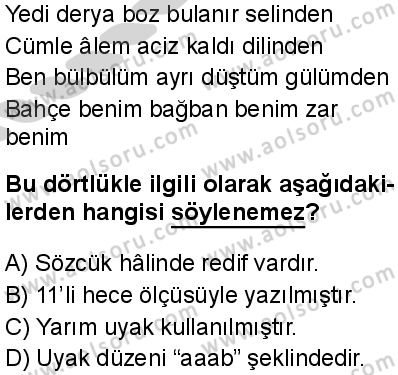 Seçmeli Türk Dili ve Edebiyatı 1 Dersi 2024-2025 yılı 3. Dönem sınavı 8. Soru