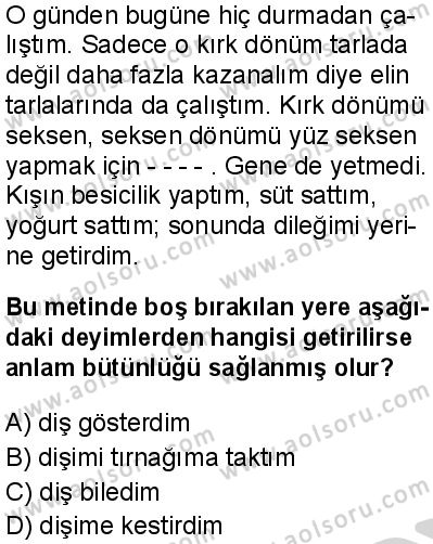 Seçmeli Türk Dili ve Edebiyatı 1 Dersi 2024-2025 yılı 3. Dönem sınavı 9. Soru