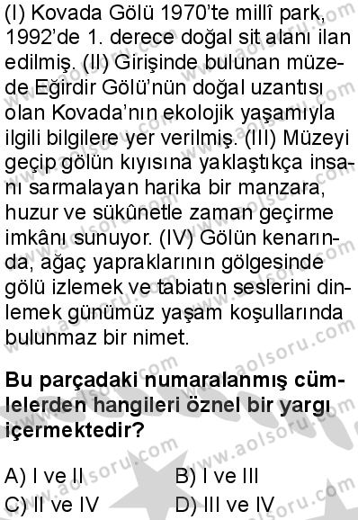 Seçmeli Türk Dili ve Edebiyatı 2 Dersi 2024-2025 yılı 3. Dönem sınavı 2. Soru