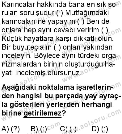Seçmeli Türk Dili ve Edebiyatı 2 Dersi 2024-2025 yılı 3. Dönem sınavı 5. Soru