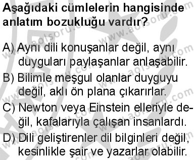 Seçmeli Türk Dili ve Edebiyatı 2 Dersi 2024-2025 yılı 3. Dönem sınavı 7. Soru