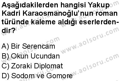 Seçmeli Türk Dili ve Edebiyatı 2 Dersi 2024-2025 yılı 3. Dönem sınavı 9. Soru