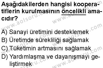 Seçmeli Girişimcilik 2 Dersi 2024-2025 yılı 3. Dönem sınavı 6. Soru