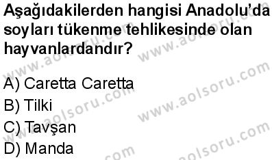 Seçmeli Coğrafya 1 Dersi 2025-2026 yılı 1. Dönem sınavı 1. Soru
