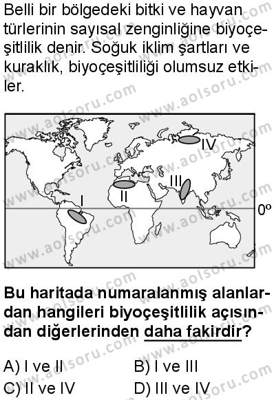 Seçmeli Coğrafya 1 Dersi 2025-2026 yılı 1. Dönem sınavı 2. Soru
