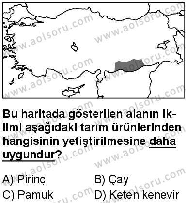 Seçmeli Coğrafya 1 Dersi 2025-2026 yılı 1. Dönem sınavı 8. Soru