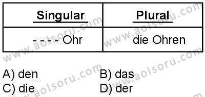 Almanca 1 Dersi 2025-2026 yılı 1. Dönem sınavı 2. Soru