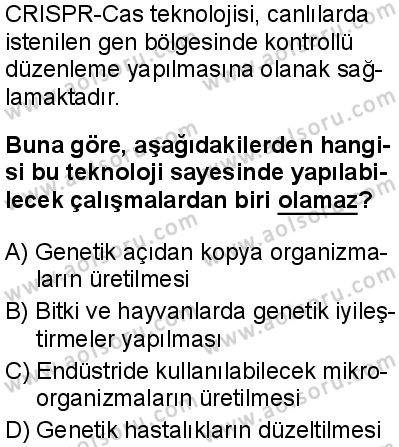 Biyoloji 1 Dersi 2025-2026 yılı 1. Dönem sınavı 2. Soru
